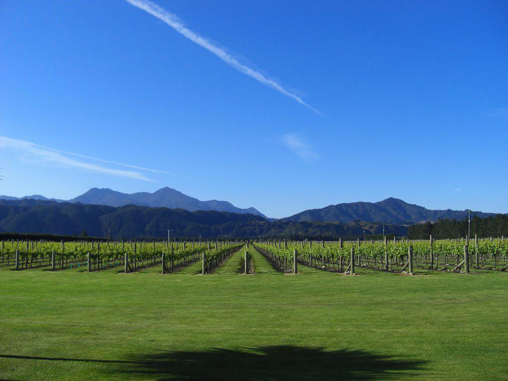 Renwick Straw Lodge Vineyard And Boutique Lodging מראה חיצוני תמונה