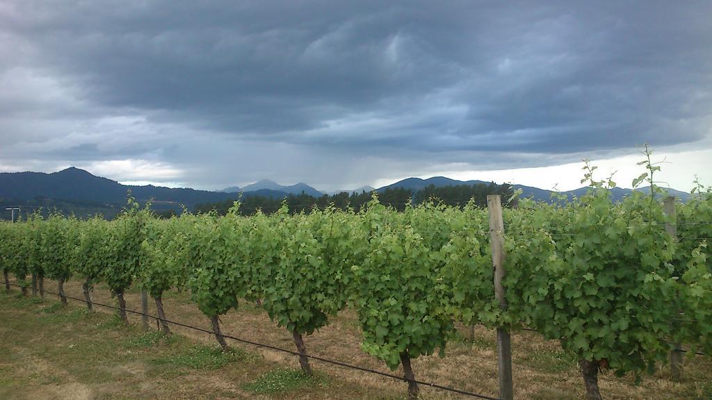 Renwick Straw Lodge Vineyard And Boutique Lodging מראה חיצוני תמונה